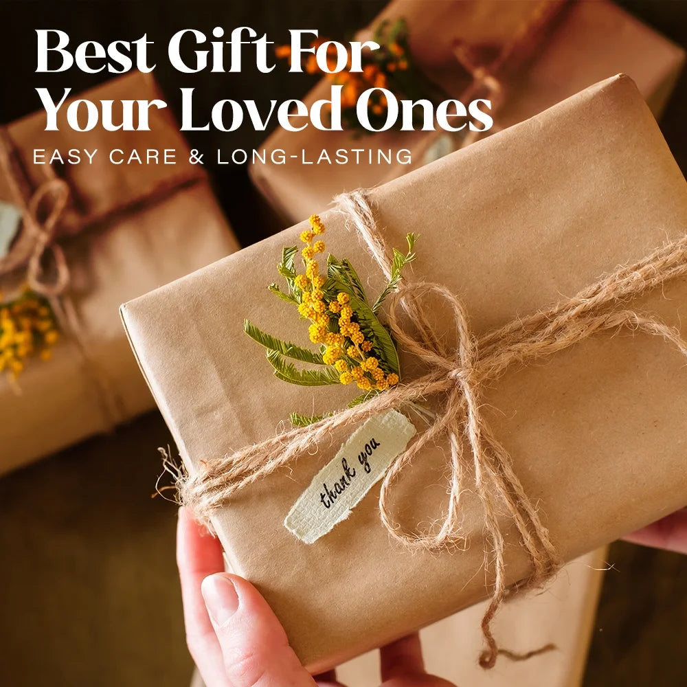 Bedding Set with Flat Sheet, Fitted Bed Sheet & Pillowcases, Queen Grey